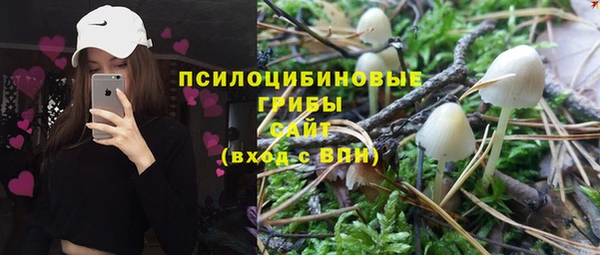 кокс Алексеевка