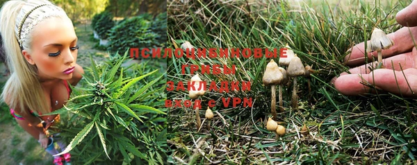 кокс Алексеевка