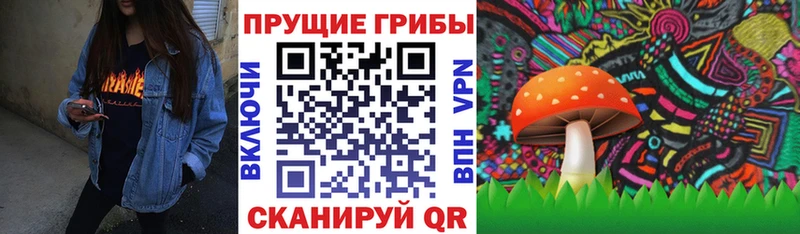 Галлюциногенные грибы GOLDEN TEACHER  где купить наркотик  мега   Сураж 
